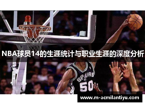 NBA球员14的生涯统计与职业生涯的深度分析